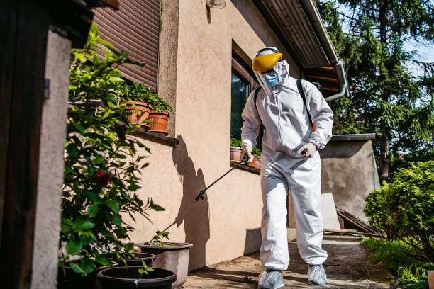 Best Best Pest Control Companies  in Cohoes, NY