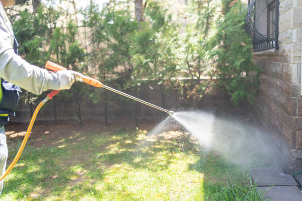 Best Termite Control Services  in Cohoes, NY