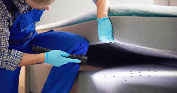 Best Commercial Pest Control Services  in Cohoes, NY