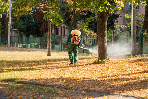 Trusted Cohoes, NY Pest Control Experts