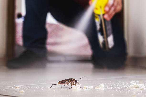Best Exterminator Services  in Cohoes, NY