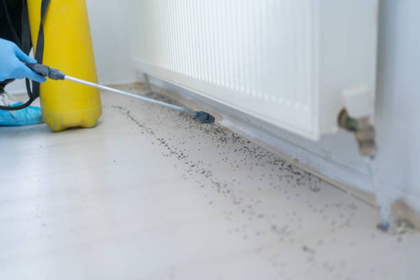 Best Pest Removal Services  in Cohoes, NY